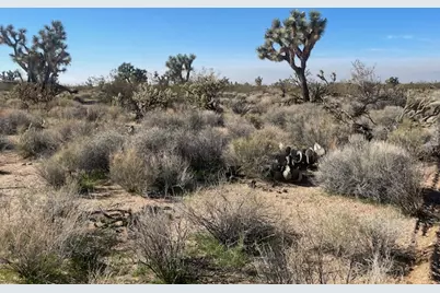 8 E Mary Drive, Yucca, AZ 86438 - Photo 24