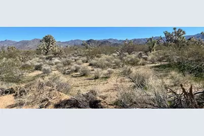 8 E Mary Drive, Yucca, AZ 86438 - Photo 20