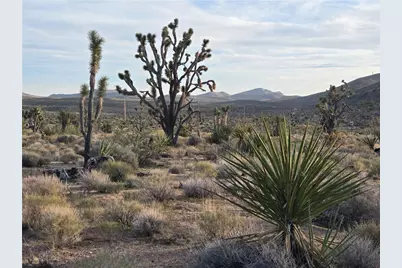 329-08-243 W Inyo Drive, White Hills, AZ 86445 - Photo 10