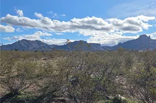 000 Butterfly Dr, Dolan Springs, AZ 86441 - Photo 1