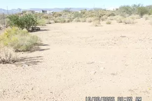 3921 N Bowie Rd, Golden Valley, AZ 86413 - Photo 10