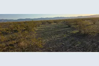 005B Estrella, Golden Valley, AZ 86413 - Photo 18