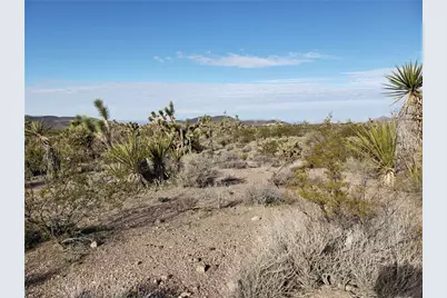 20699 & 20731 N Silver Eagle Drive, White Hills, AZ 86445 - Photo 1