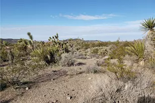 20699 & 20731 N Silver Eagle Dr, White Hills, AZ 86445 - Photo 1