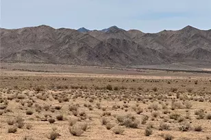 9597 N Tall Tree Dr, Kingman, AZ 86401 - Photo 34