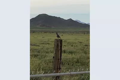 9597 N Tall Tree Drive, Kingman, AZ 86401 - Photo 36