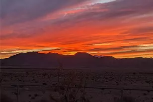 9597 N Tall Tree Dr, Kingman, AZ 86401 - Photo 38