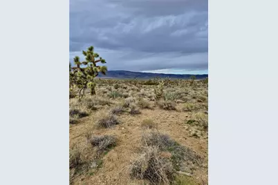 Lot 402 Saddle Drive, Dolan Springs, AZ 86441 - Photo 6