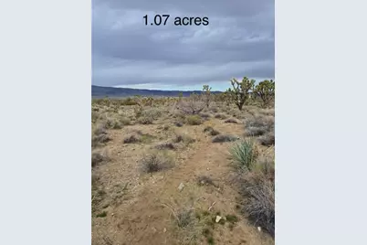 Lot 402 Saddle Drive, Dolan Springs, AZ 86441 - Photo 2