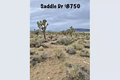 Lot 402 Saddle Drive, Dolan Springs, AZ 86441 - Photo 1