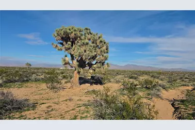 123-11-015 S Dale Evans Road, Yucca, AZ 86438 - Photo 12