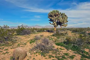 123-11-015 S Dale Evans Rd, Yucca, AZ 86438 - Photo 1