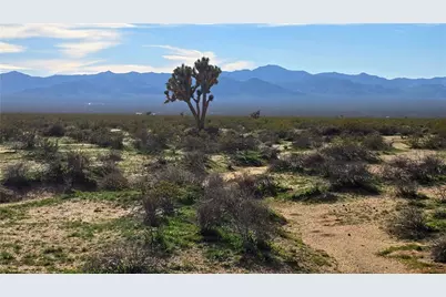 517 S Dale Evans Road, Yucca, AZ 86438 - Photo 10