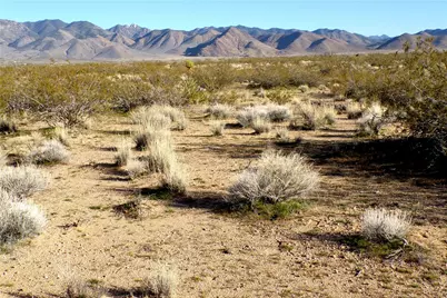 Lot 246 W 5th Street, Dolan Springs, AZ 86441 - Photo 20