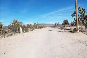 17305 N Lost Mine Dr, Dolan Springs, AZ 86441 - Photo 12