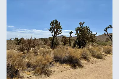 327-07-341 Sequoia Drive, Dolan Springs, AZ 86441 - Photo 4