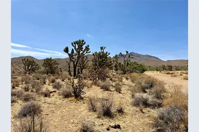 327-07-341 Sequoia Drive, Dolan Springs, AZ 86441 - Photo 2