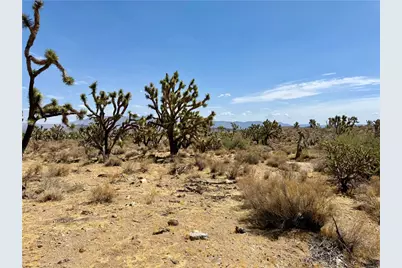 327-07-341 Sequoia Drive, Dolan Springs, AZ 86441 - Photo 6