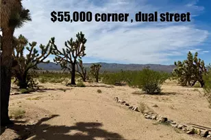 2800 W Cherry St, Meadview, AZ 86444 - Photo 1