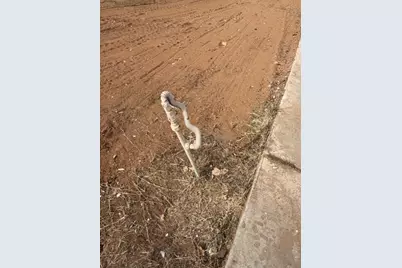 2835 E Hearne Avenue, Kingman, AZ 86409 - Photo 4