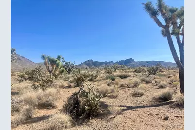 Lots 574,573 19th Street, Dolan Springs, AZ 86441 - Photo 4