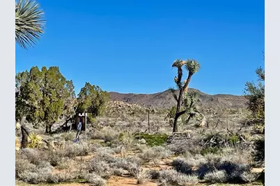 21422 S Appaloosa Road, Yucca, AZ 86438 - Photo 62