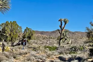 21422 S Appaloosa Rd, Yucca, AZ 86438 - Photo 62