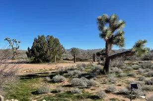 21422 S Appaloosa Rd, Yucca, AZ 86438 - Photo 52