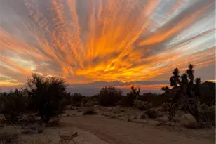 21422 S Appaloosa Rd, Yucca, AZ 86438 - Photo 74