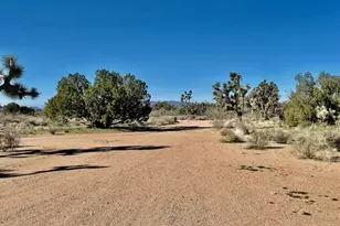 21422 S Appaloosa Rd, Yucca, AZ 86438 - Photo 66