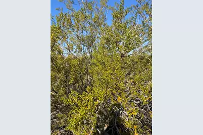 14257 W Indian Wells Road, Golden Valley, AZ 86413 - Photo 6