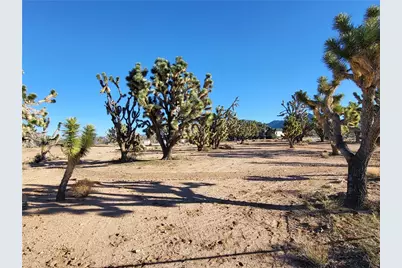 26336 N Pear Avenue, Meadview, AZ 86444 - Photo 2