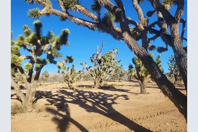 26336 N Pear Avenue, Meadview, AZ 86444 - Photo 6