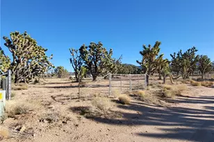 26336 N Pear Ave, Meadview, AZ 86444 - Photo 1