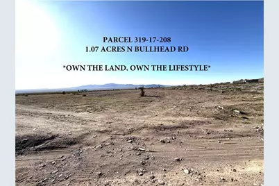 319-17-208 N Bullhead Road, Dolan Springs, AZ 86441 - Photo 1