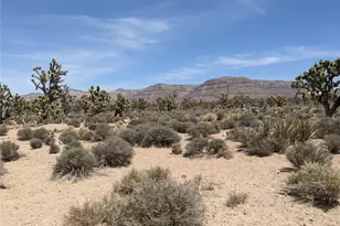26681 N Verde Rd, Meadview, AZ 86444 - Photo 1