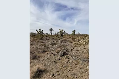 327-05-010 Mesquite Rd, Dolan Springs, AZ 86441 - Photo 8