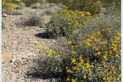 4315 Pima Drive, Fort Mohave, AZ 86426 - Photo 12