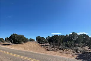 9918 E Blake Ranch Rd, Kingman, AZ 86401 - Photo 4