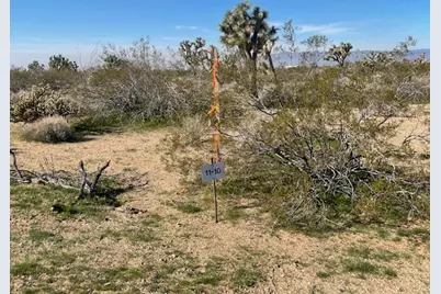 10 S Mary Pl., Yucca, AZ 86438 - Photo 6