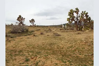 18821 N Red Lake Drive, Dolan Springs, AZ 86441 - Photo 6