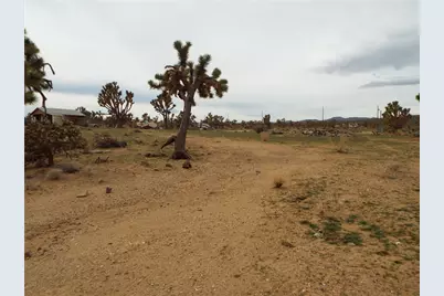 18821 N Red Lake Drive, Dolan Springs, AZ 86441 - Photo 8