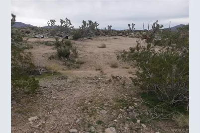 8368 W Cordelia, White Hills, AZ 86445 - Photo 6