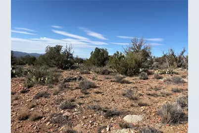 N/A Juniper Trail Drive, Kingman, AZ 86401 - Photo 8