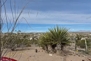 30095 N Sandy Point Dr, Meadview, AZ 86444 - Photo 32