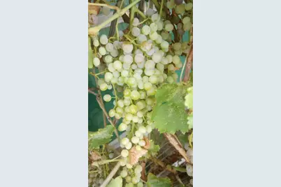 30095 N Sandy Point Drive, Meadview, AZ 86444 - Photo 30