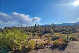 27165 N Sandy Point Dr, Meadview, AZ 86444 - Photo 60