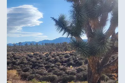 27165 N Sandy Point Drive, Meadview, AZ 86444 - Photo 58