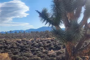 27165 N Sandy Point Dr, Meadview, AZ 86444 - Photo 58