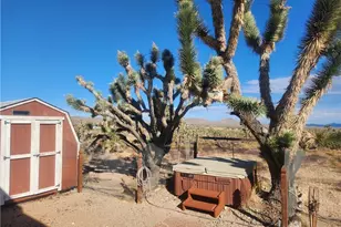 27165 N Sandy Point Dr, Meadview, AZ 86444 - Photo 50